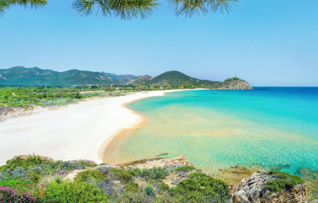 Chia and the South Coast