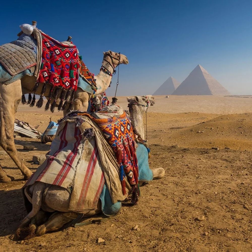 Egypt, Africa