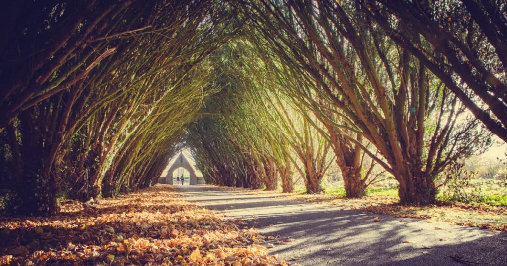 Weather in Ireland in September