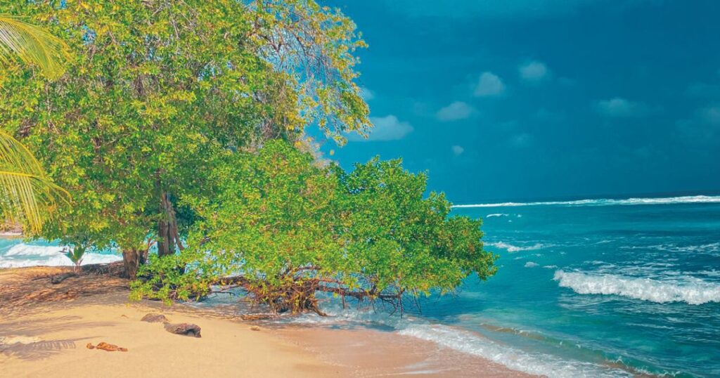 La Miel Beach