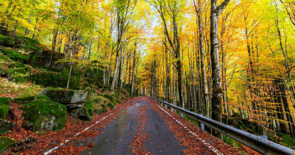 Weather in Italy in October